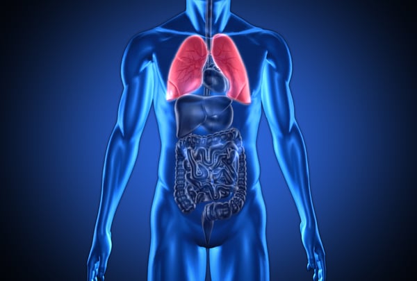 lungs and copd in seniors 