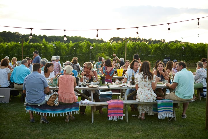 Picnic Outing by david-todd-mccarty-TUUEdIhwNFQ-unsplash