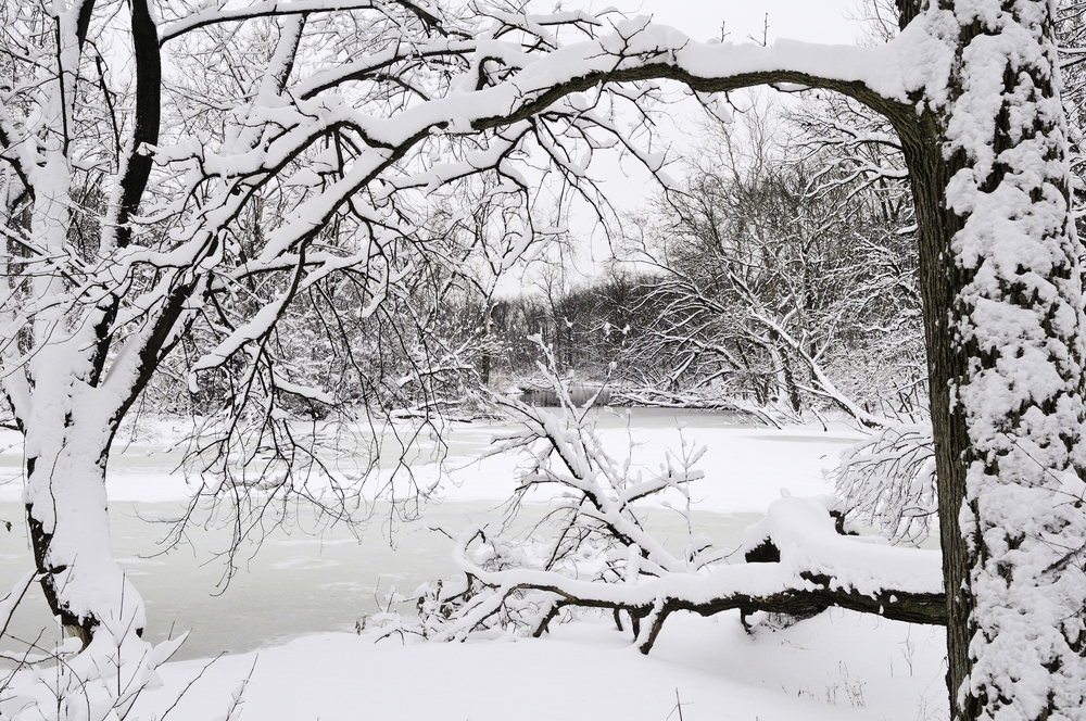 Beating the Winter Blues