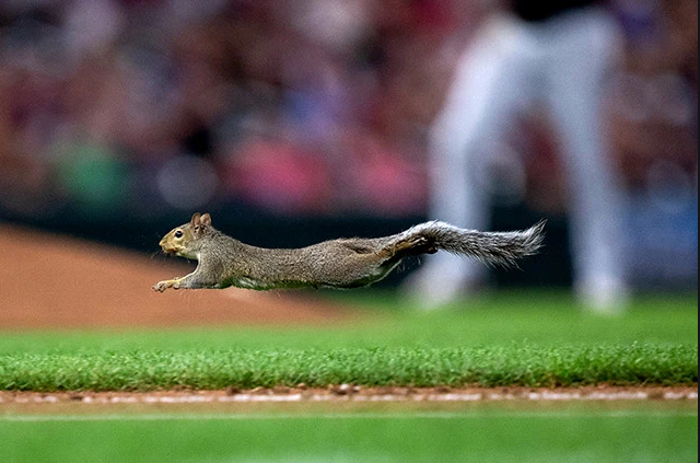 Seniors Out and About in the Twin Cities: Minnesota Twins 2020